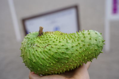 Close-up of hand holding fruit