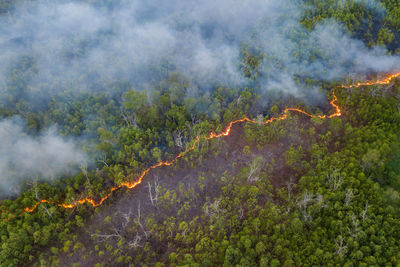 High angle view of forest fire