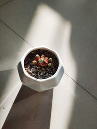 High angle view of fruits in bowl on table