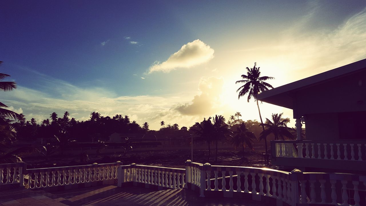 SCENIC VIEW OF SKY OVER PALM TREES