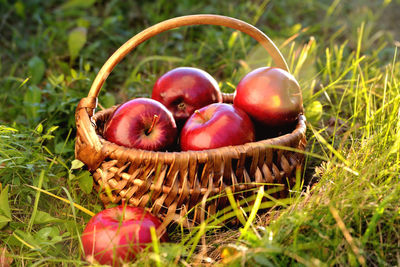 Close-up of apples in basket