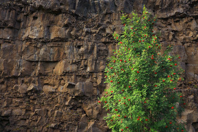 Low angle view of rock formations