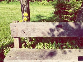 View of plants on bench in park