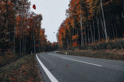 Road amidst trees in forest during autumn