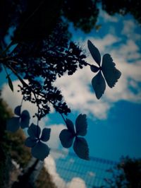 Low angle view of plant against clear sky
