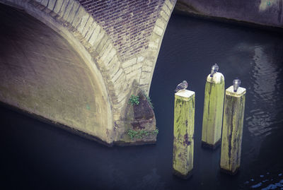 Close-up of built structure