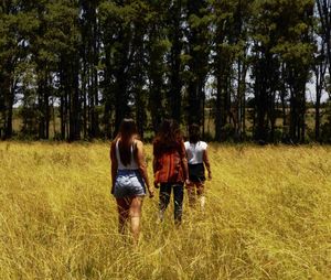 Rear view of women walking in forest