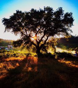 Scenic view of field against sky at sunset