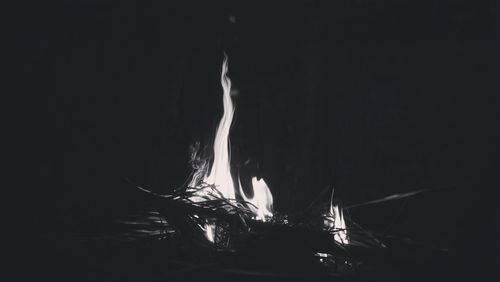 Close-up of bonfire against black background