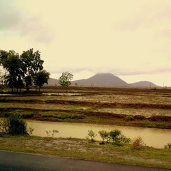 Scenic view of field against cloudy sky