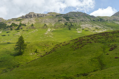 Scenic view of landscape against sky