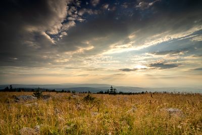 Scenic view of field against sky during sunset