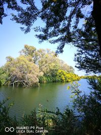 Scenic view of lake in forest against sky