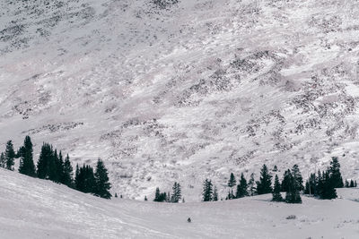 Scenic view of snow covered landscape