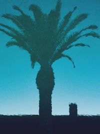 Low angle view of silhouette palm tree against blue sky