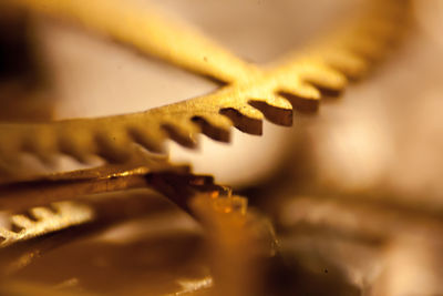 Close-up of metallic object