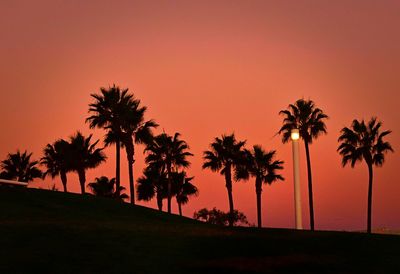 Silhouette palm trees against sky during sunset