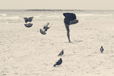 Rear view of woman practicing yoga by pigeons at sandy beach