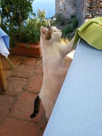 Low section of woman relaxing on ground