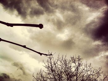 Low angle view of silhouette tree against cloudy sky