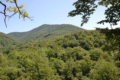 Scenic view of mountains against clear sky