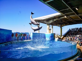 People jumping in swimming pool against blue sky