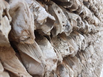 Full frame shot of dried fishes