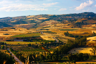 Scenic view of agricultural field against sky