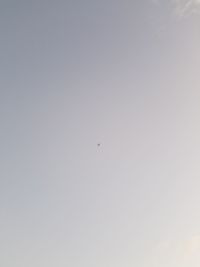 Low angle view of eagle flying against clear sky