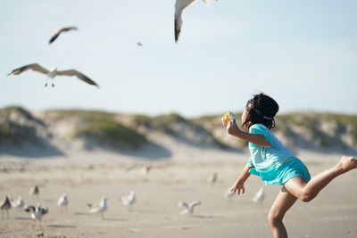 View of seagulls on beach