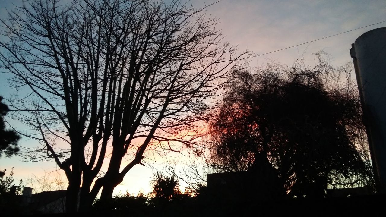 tree, bare tree, sky, silhouette, low angle view, no people, outdoors, branch, nature, beauty in nature, sunset, scenics, tranquility, growth, day, architecture, building exterior