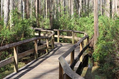 Wooden footbridge in forest