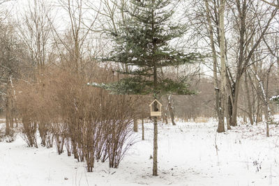 Bare trees on snow covered landscape