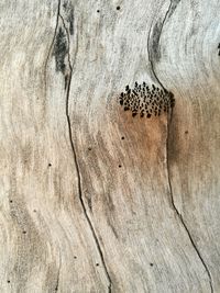 Full frame shot of sand