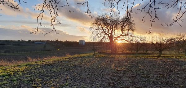 Scenic view of field against sky during sunset