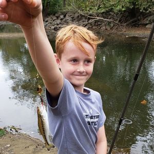Cute boy holding fish at lakeshore