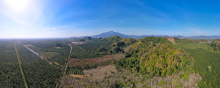 Panoramic view of agricultural field against sky