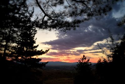 Silhouette trees on landscape against sky at sunset