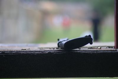 Close-up of snake on retaining wall