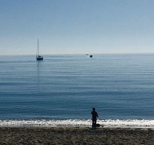 Rear view of people looking at sea against clear sky