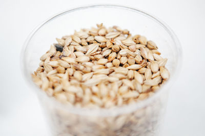 Close-up of food in bowl