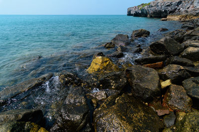 Scenic view of sea against clear sky