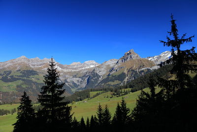 Scenic view of snowcapped mountains against clear blue sky