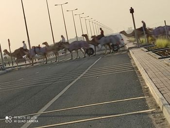 Group of people on the road