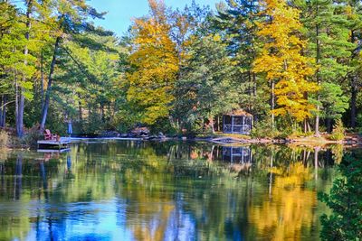 Scenic view of lake by trees during autumn