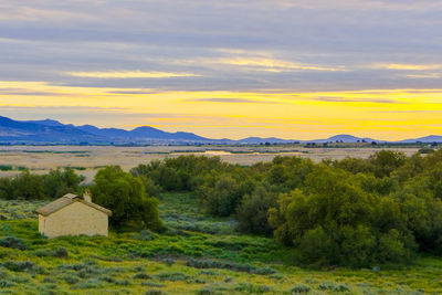 Scenic view of landscape against sky