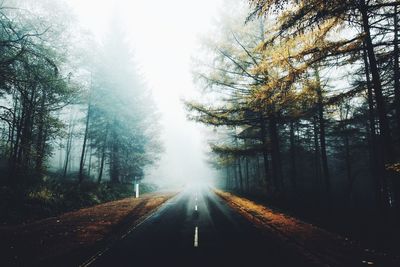 Road amidst trees in forest against sky