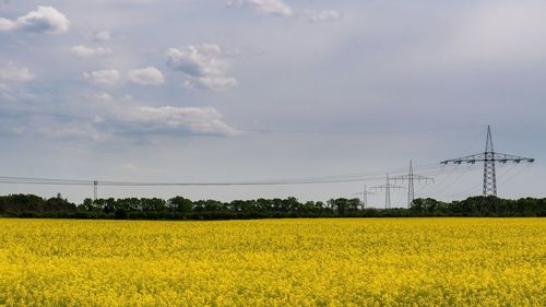 Scenic view of field against sky