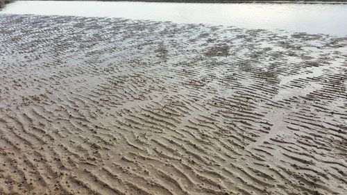 Sand dune on beach