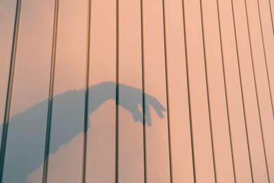 Shadow of a hand illuminated by sunset golden hour against an industrial wall.